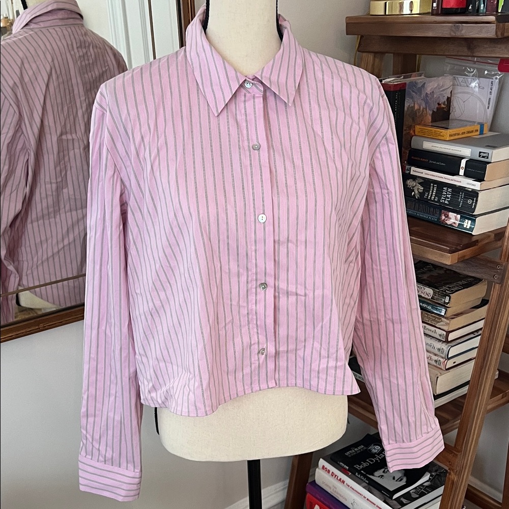 L'AGENCE Cosette Pink and Pistachio Striped Button Down Cropped Shirt